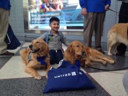 Young boy on floor in between two golden retriever dogs and United bag
